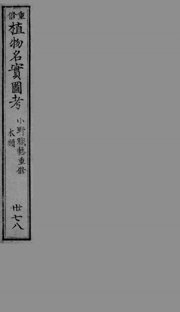 植物名实图考  37-38